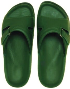 Zielony bez tła.jpg