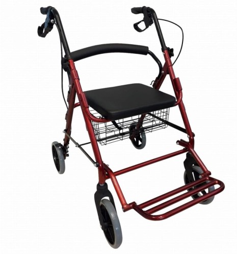 Chodzik czterokołowy Oslo Premium RF-616